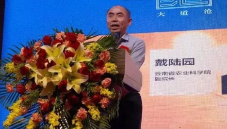 周红杰教授受邀参加首届云茶国际茶商论坛
