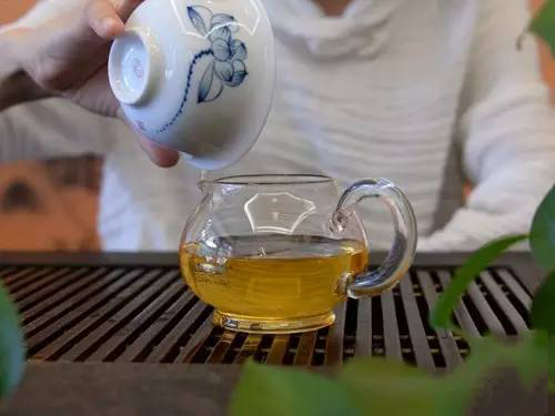 1501年易武山生茶汤