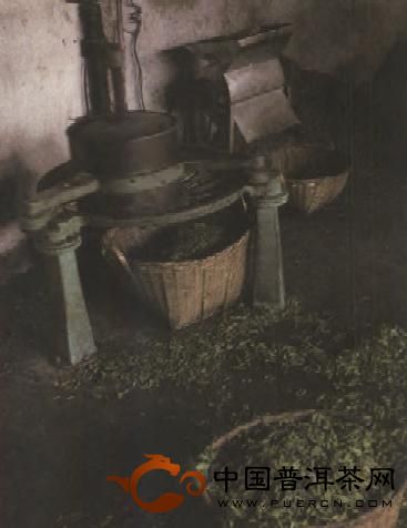 现代普洱茶的制作工艺的10个步骤 - 中国普洱茶