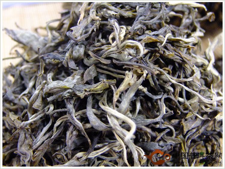 舌尖上的普洱茶——2012老班章春茶纯料古树