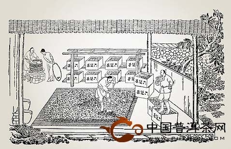 中国“制茶技术”的发展历程是怎样的？