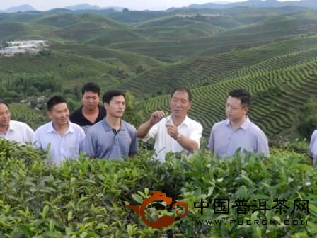 龙园茶业：万亩茶园观光及茶文化馆建设项目