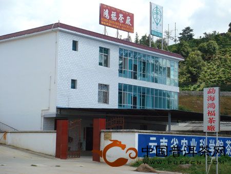 云南西双版纳勐海鸿福茶厂