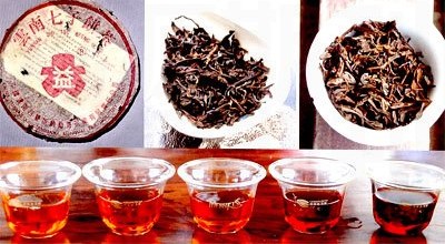 普洱茶新生代专家品鉴录：勐海茶厂1995年的7582青饼