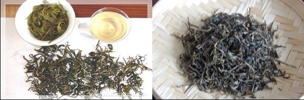 古树茶和台地茶的区别与品味
