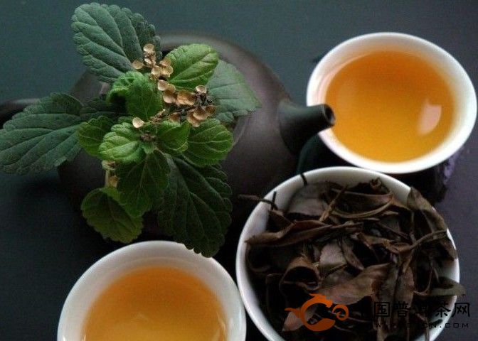 东方美人茶的产地、外形、特征和冲泡要点 - 中