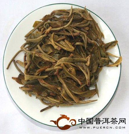 冰岛古树茶：中国传统茶树良种