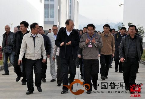 云南省副省长孔垂柱莅临勐海茶厂考察指导工作