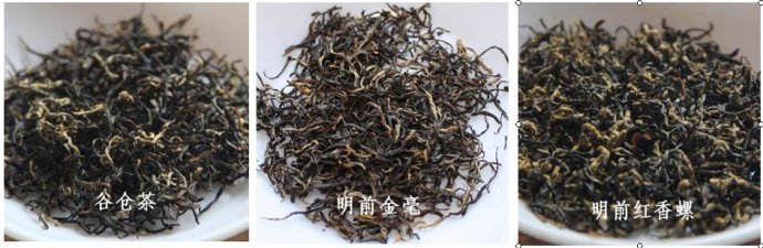 祁红谷仓茶、明前金毫、红香螺的区别及各自的品质特点