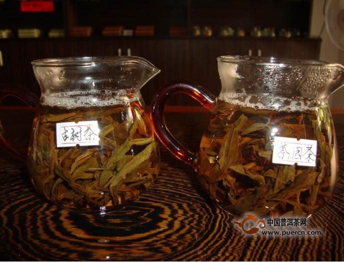 普洱茶投资分析：古树茶的“刚需”