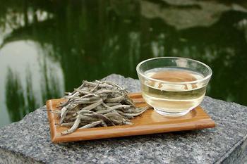 老白茶的功效与作用 - 茶叶常识,茶叶基础知识
