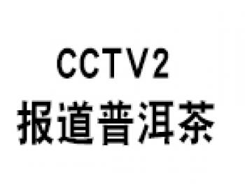 CCTV2报道普洱茶视频