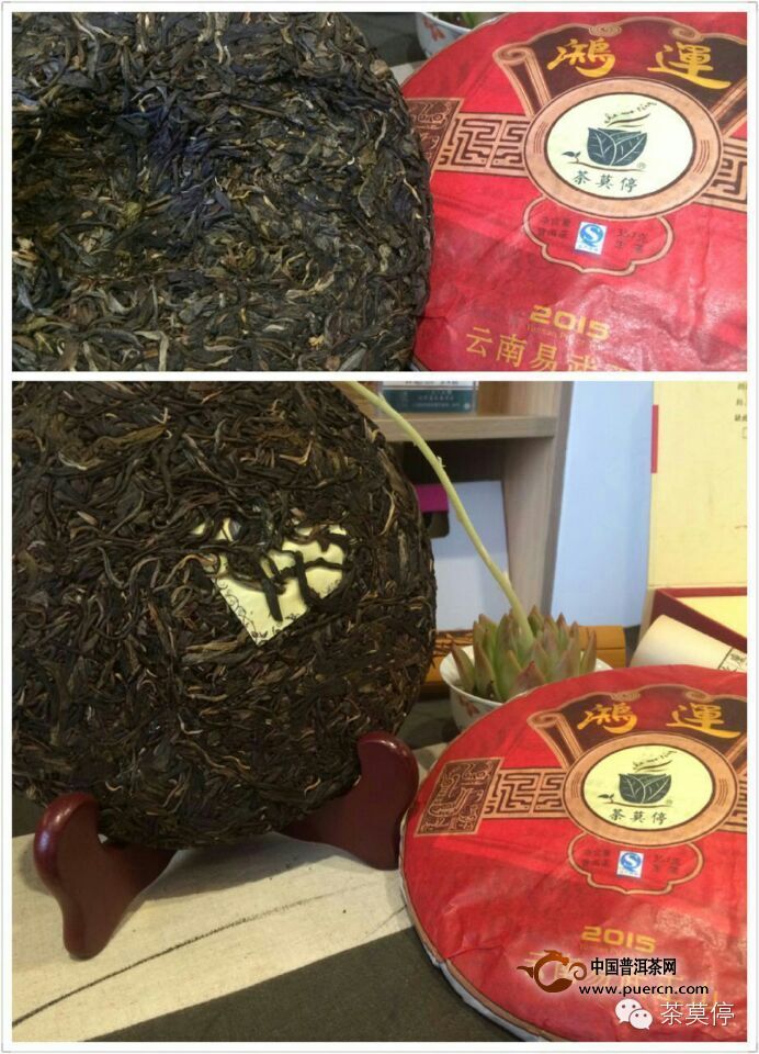 【新品上市】茶莫停2015年“鴻運”青饼 上市