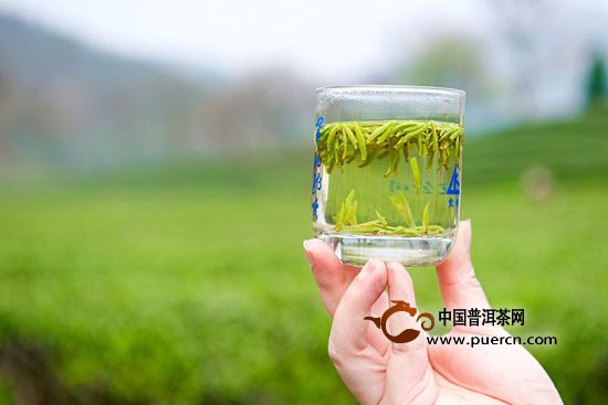 龙井茶的功效 - 绿茶品牌,中国绿茶十大品牌,绿