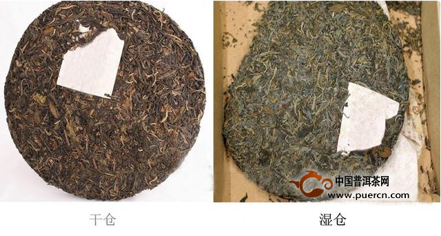 【茶人说茶】董玥：普洱茶干仓和湿仓的区别