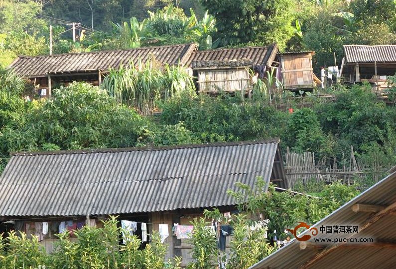 普洱茶村寨之勐腊秧林自然村