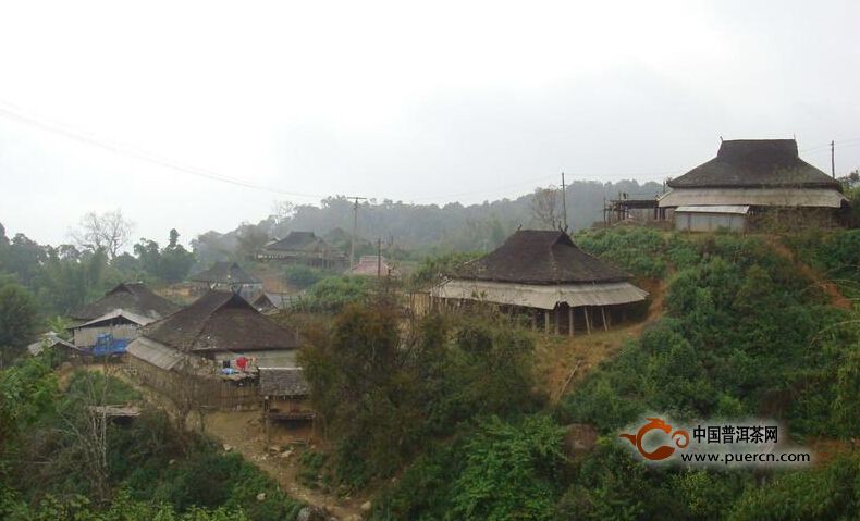 普洱茶村寨之邦盆新寨村
