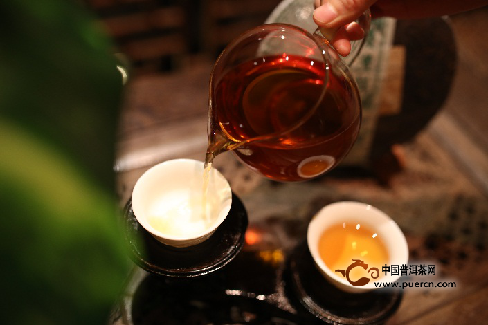 七彩云南老茶记——野生茶的魅力