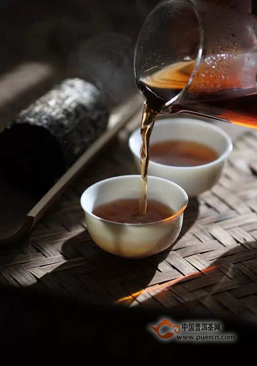 【普洱早课】古树茶、台地茶、乔木茶的基本概念