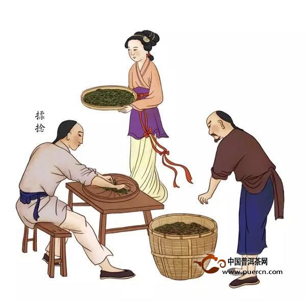 图文详解祁门红茶的古法制作过程