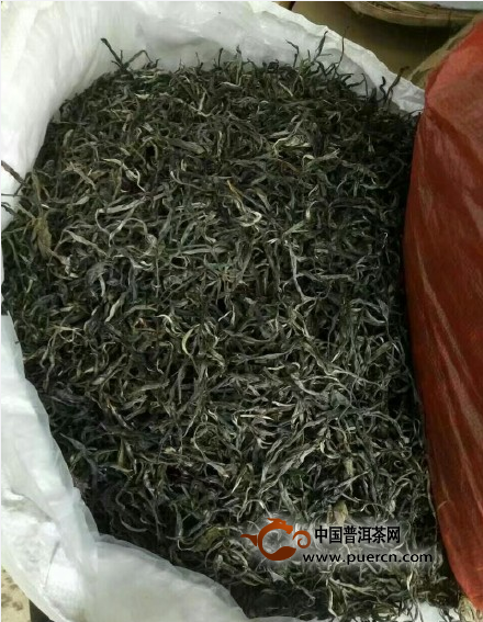 吴疆说普洱：大叶种茶叶销区和分类的关系