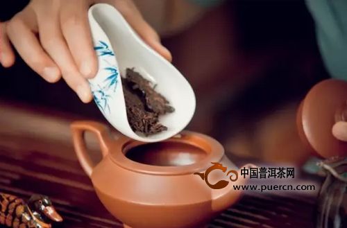 澜沧古茶:金秋熟茶季,首款大马帮熟茶即将暖润
