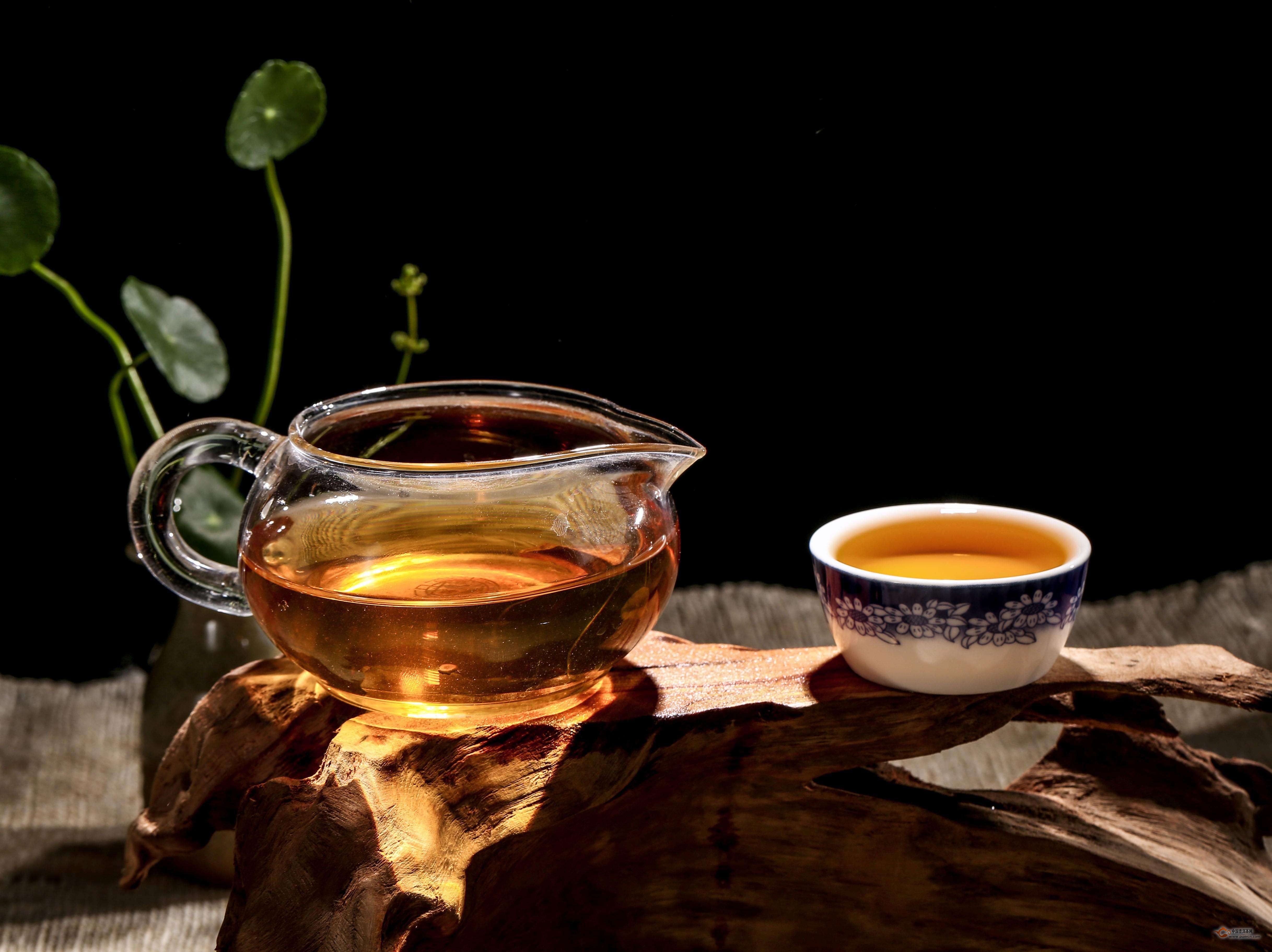 普洱茶的水性在舌尖上的味道