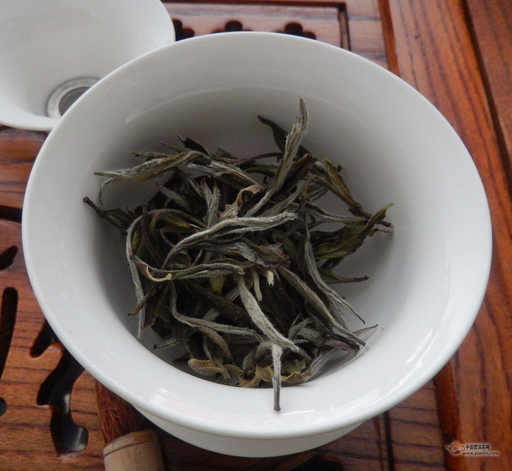 白牡丹茶的功效与作用 - 【白茶】白茶的功效与