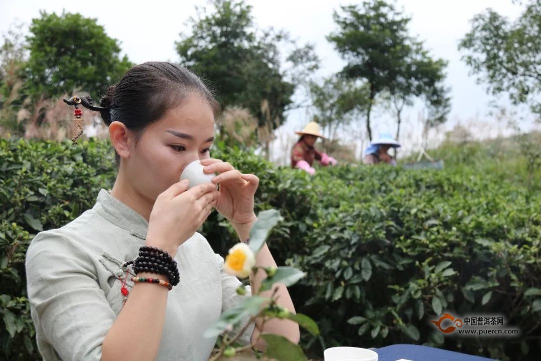 茶叶市场的潜力怎么挖掘