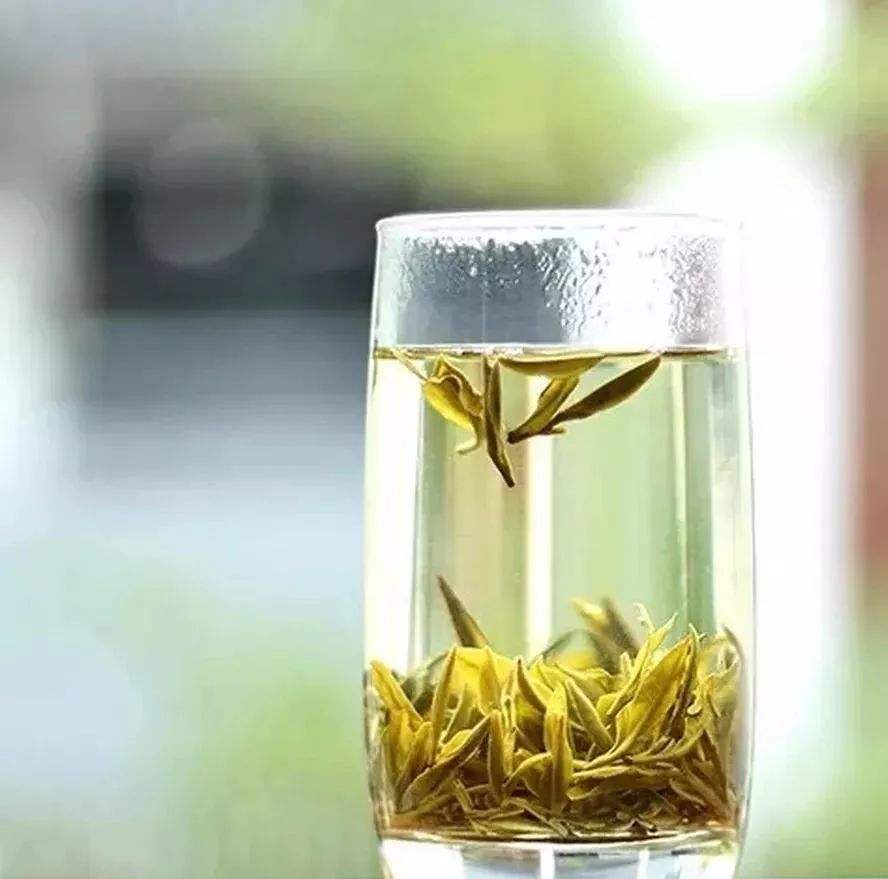 黄小茶有哪些功效与作用及其禁忌