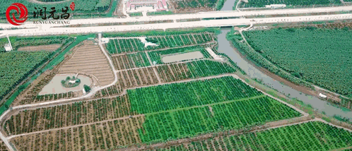 跟进全国现代农业产业园建设，典型示范基地“梅江庄园”树立新标杆