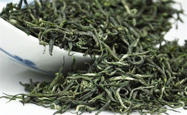 黄山毛尖属于红茶还是绿茶？