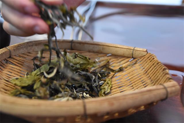 【原创】初识普洱茶：普洱茶冲泡之煮茶法