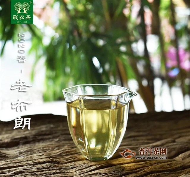 彩农茶：如何区分春茶和雨水茶?