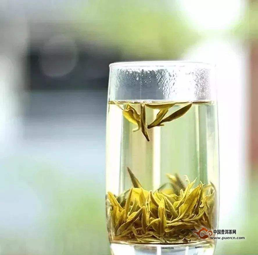 黄小茶有哪些功效与作用及其禁忌