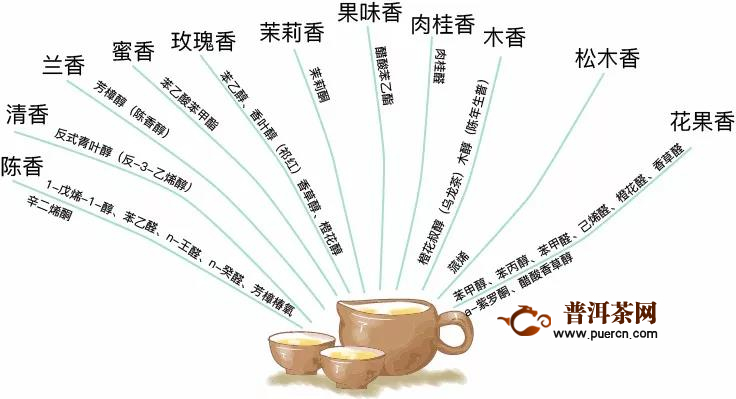 凤宁茶馆：关于茶香也分前调，中调，后调？