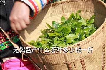 无锡盛产什么茶叶多少钱一斤