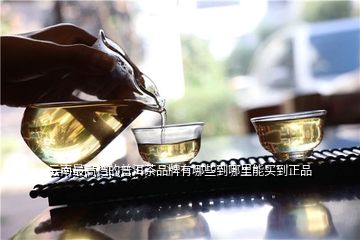 云南最高档的普洱茶品牌有哪些到哪里能买到正品