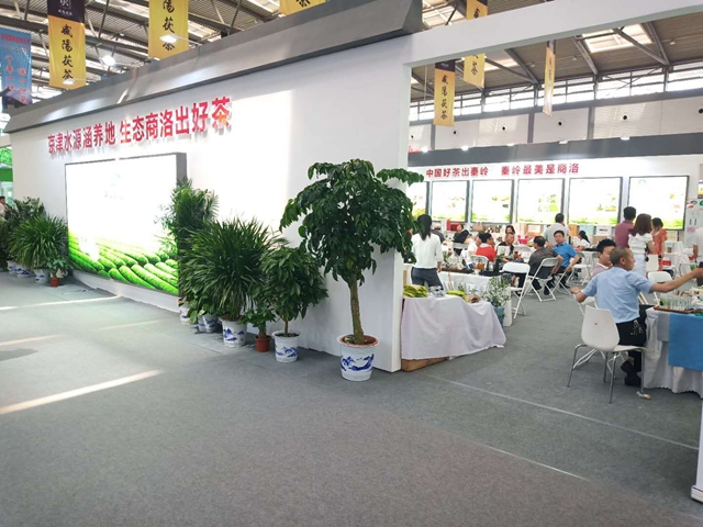 图片直播 | 第十三届中国西安国际茶业博览会—— 商洛茶展区