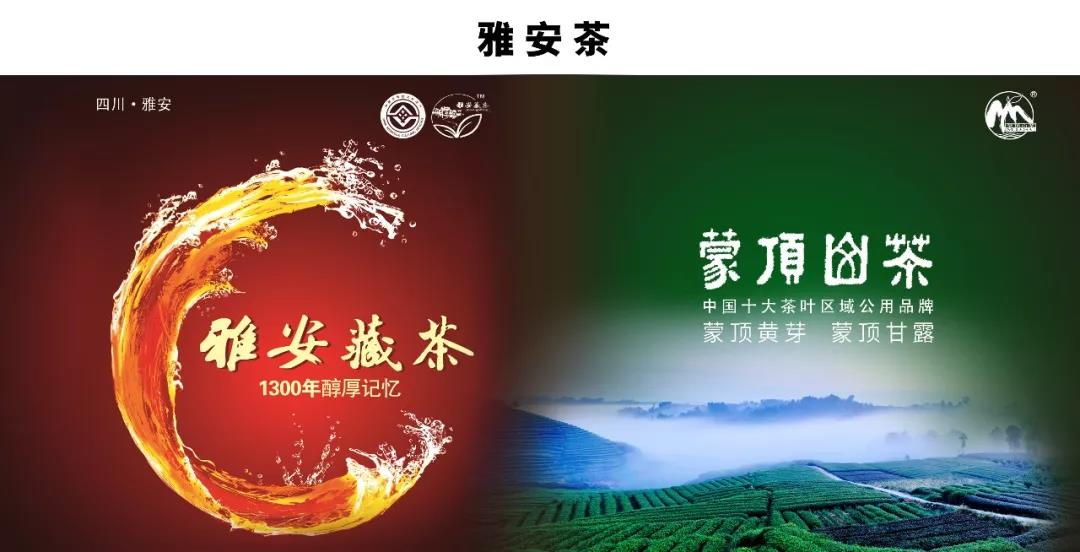 杨世华：以茶为媒，助推东方文化复兴