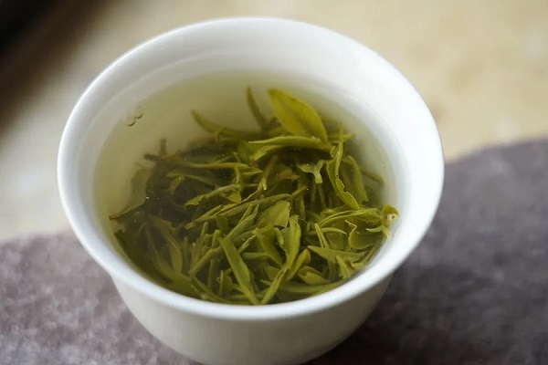信阳毛尖手工茶、野生茶、传统茶到底怎么区分？看似简单，内藏玄机！
