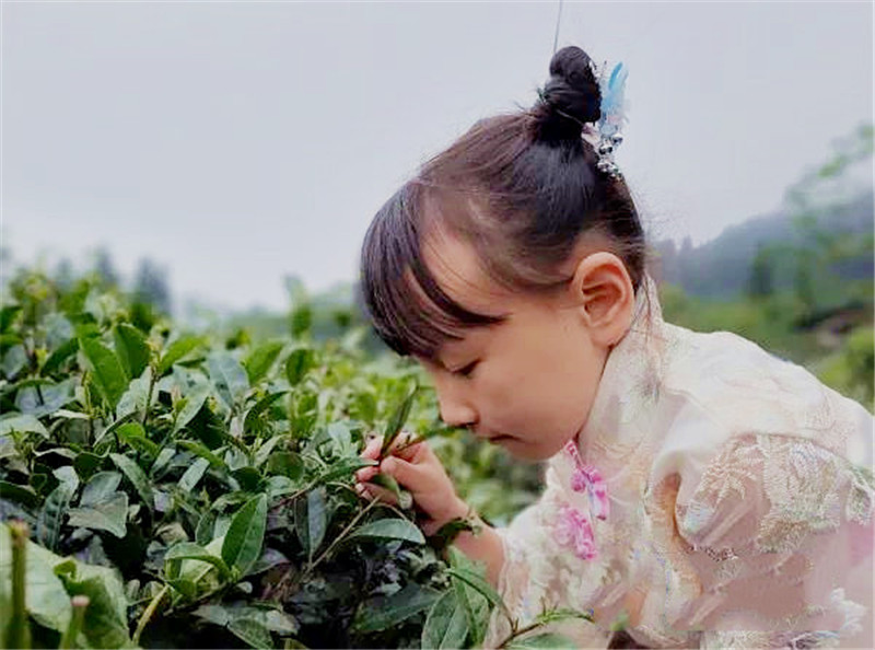 依托生态优势 打造“茶文化”产业链：名山区推进文旅融合发展 建设成都大都市区康养休闲目的地