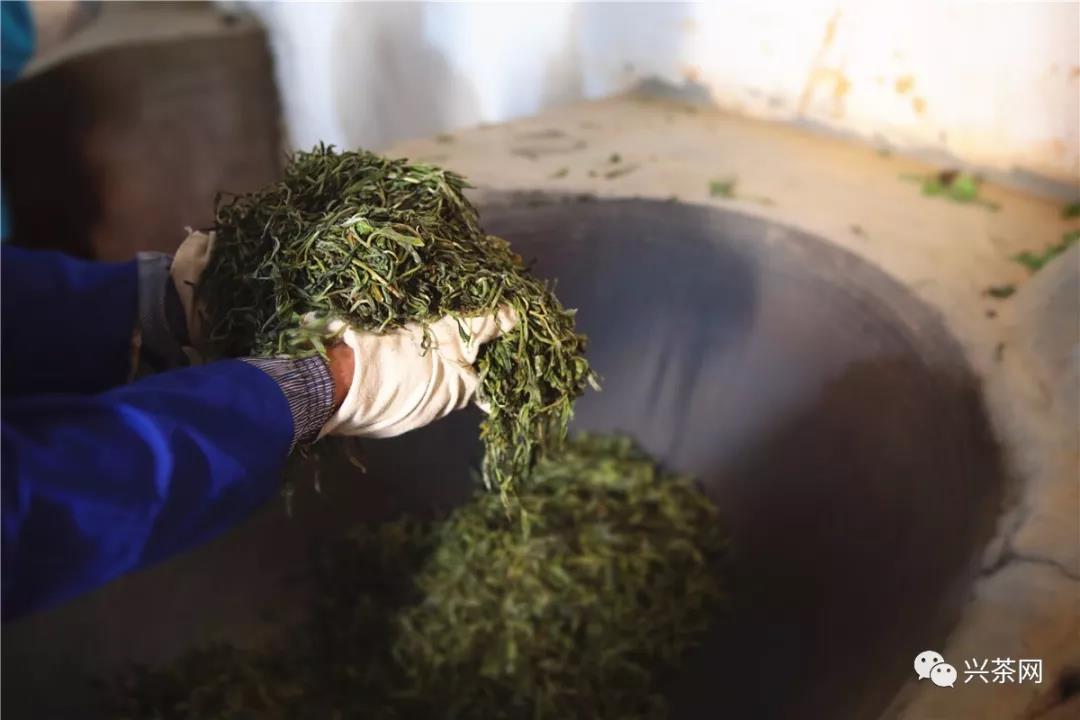 普洱茶市场中新机遇：挖掘“快消品化”的潜力！