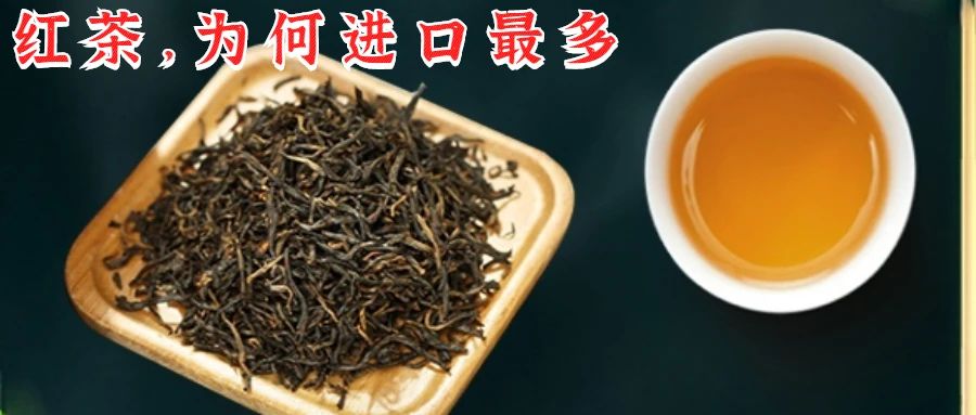 茶叶产量位居世界第一，我国还需进口什么茶？从哪个国家进口？