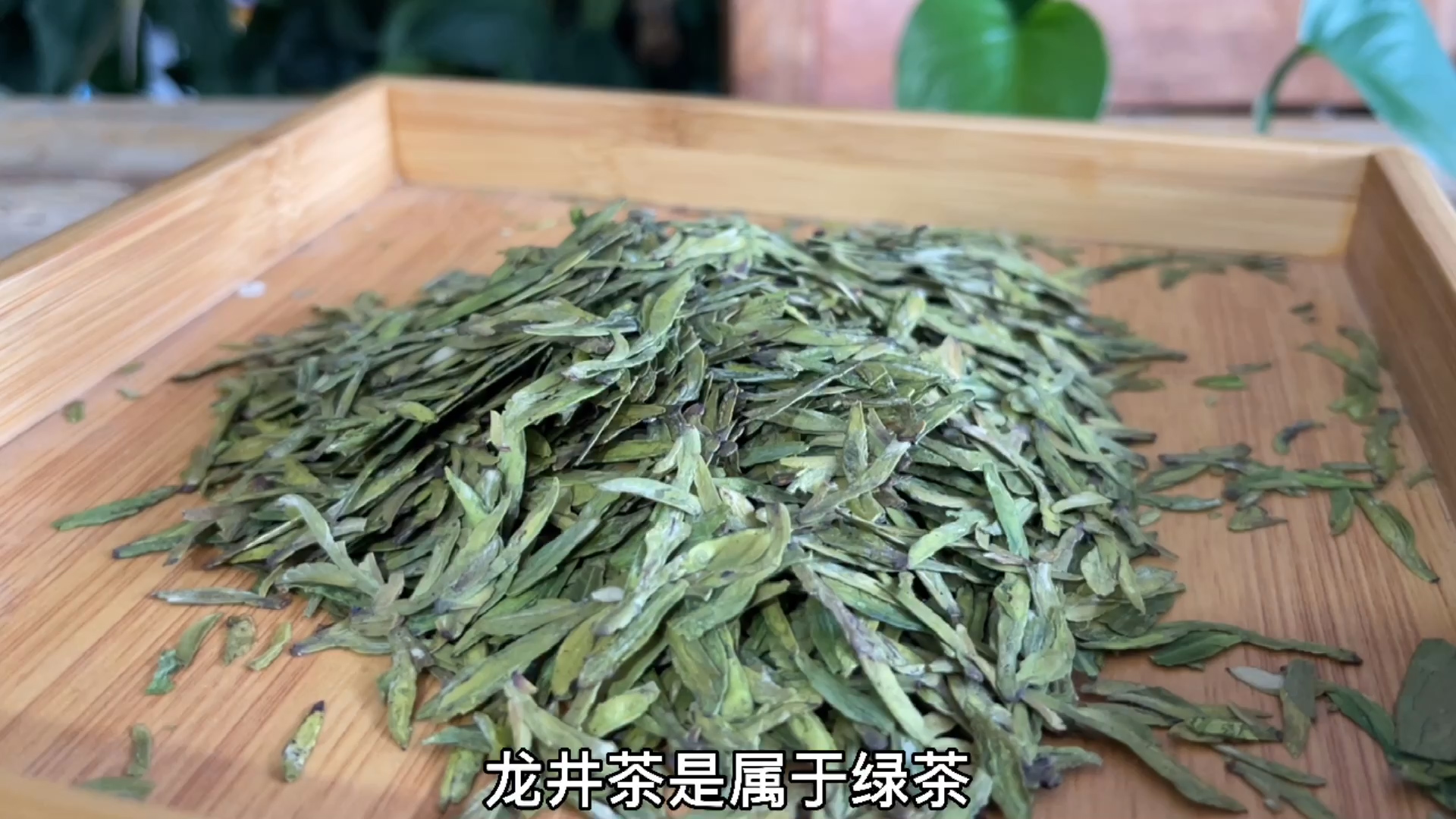 龙井茶是什么茶类，龙井茶的介绍！