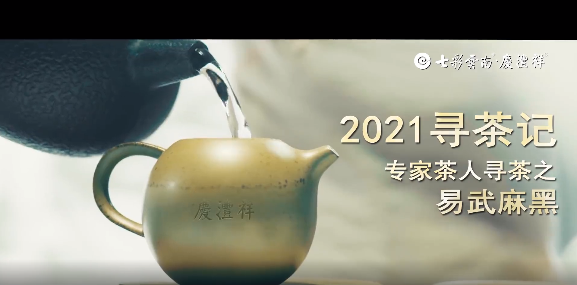 2021寻茶记深度视频丨专家茶人探山识茶——易武麻黑①