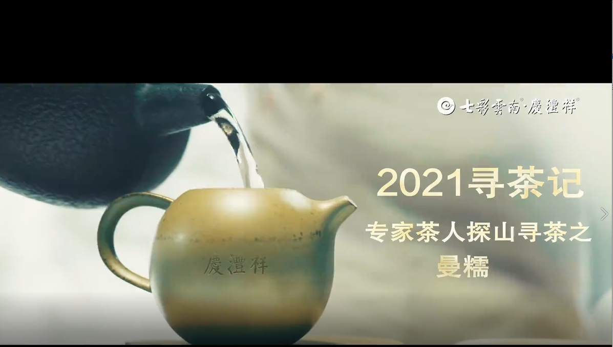 2021寻茶记深度视频丨专家茶人探山识茶——曼糯①