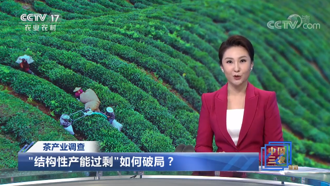 CCTV17：茶产业“结构性产能过剩”的困局