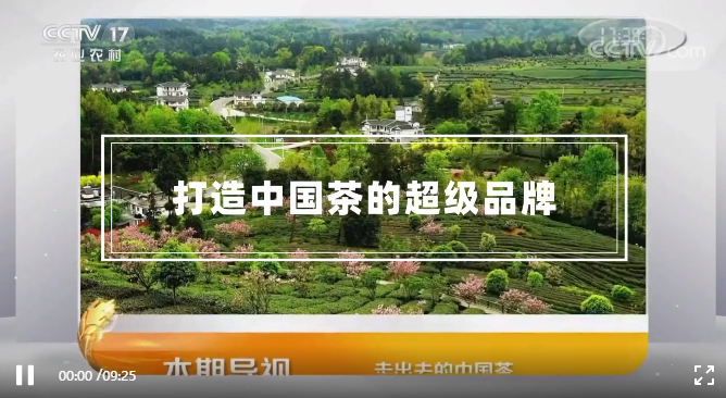 CCTV | 蒋同：打造中国茶的超级品牌