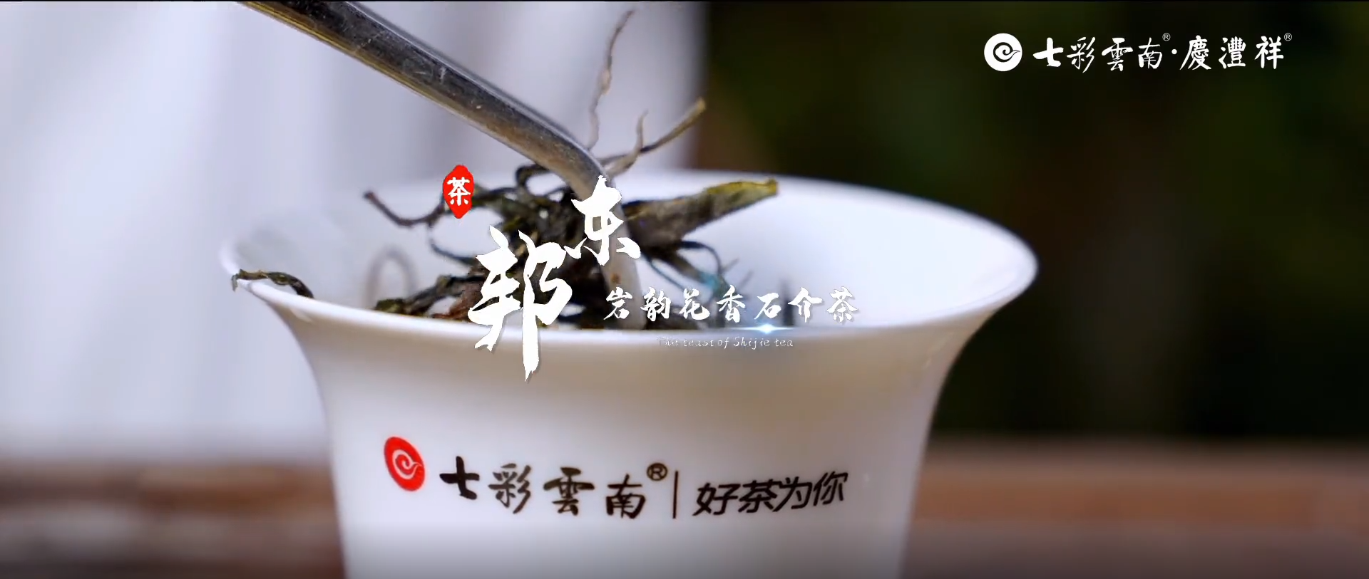 2021寻茶记深度视频丨专家茶人探山识茶——岩韵花香石介茶
